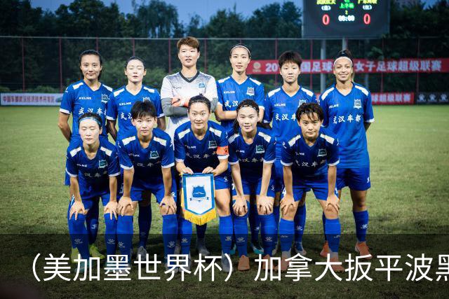 （美加墨世界杯）加拿大扳平波黑 获队史世界杯首分